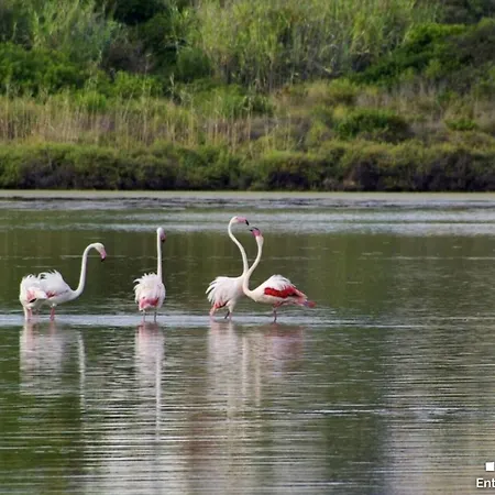 Villa Vh Costablanca - Fonda