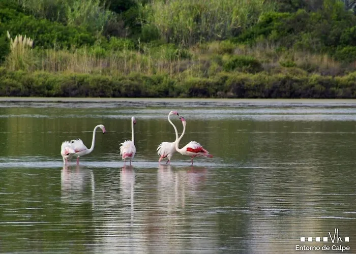 Villa Vh Costablanca - Fonda