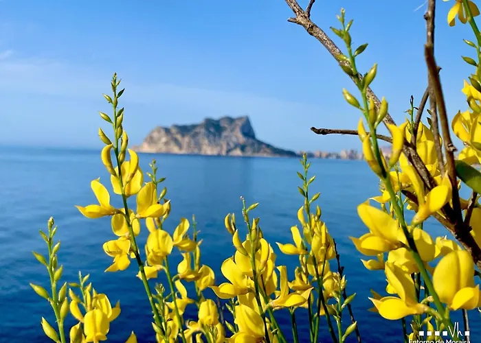 Villa Vh Costablanca - Fonda Ifach